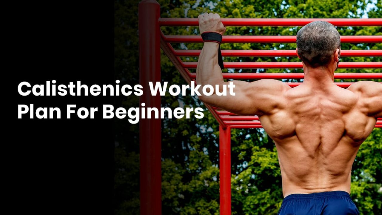 Calisthenics Workout Plan For Beginners Bodyweightheaven